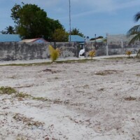 Thimarafushi sunset park area empty land