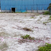 Thimarafushi sunset park area