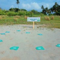 ފްރޮގް ޖަމްޕް carnival setup for a jumping game