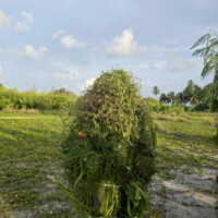 Maldivian men dressed as local "Maali"